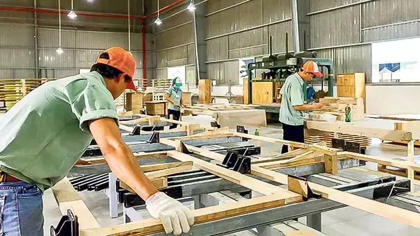 Ceylanpınar Mobilyacı